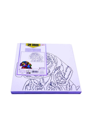 Südor Tuval Mydido 30x30 Cm Desenli