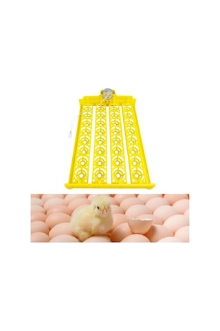 Pazly Otomatik Yumurta Çevirme Makinesi Kuluçka Tavuk Suntek Ac-12v Pm