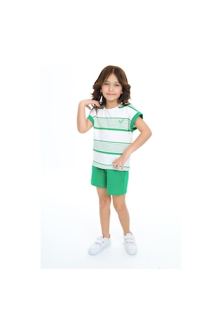 Toontoy Kids Toontoy Kız Çocuk Çizgili Kalp Nakışlı Şortlu Takım Çimen Yeşili