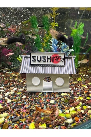 Sushi Evi-akvaryum Dekoru-gri Csıfhılvhsf, One Size