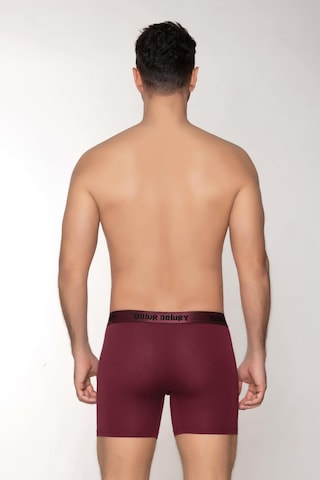 Dowry Erkek Modal Boxer Logo Lastikli Uzun Bordo Bordo