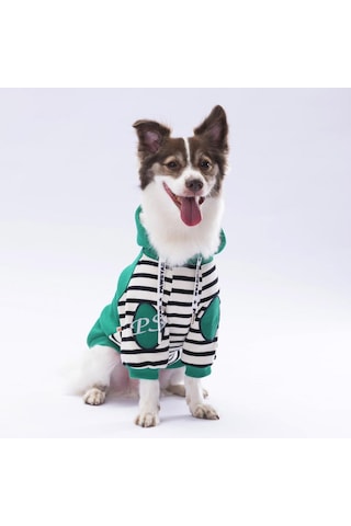 Yeşil Lucky Club Köpek Hoodie Köpek Sweat Köpek Kıyafeti Kedi Kıyafeti