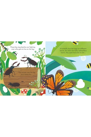 The Usborne Peep Inside Bug Homes