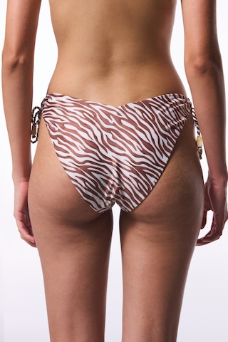 Penti Gale Zebra Desenli V Kesimli Bikini Altı