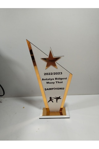 Plaket Karete/boks/judo/muay Thai Turnuvalarına Özel Altın