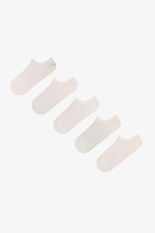 Penti Everyday Çizgili 5 Çift Sneaker Çorap Çok Renkli