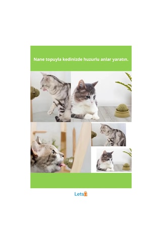 Kedi Nanesi İle Oyun Topu 5 Cm Çok Renkli