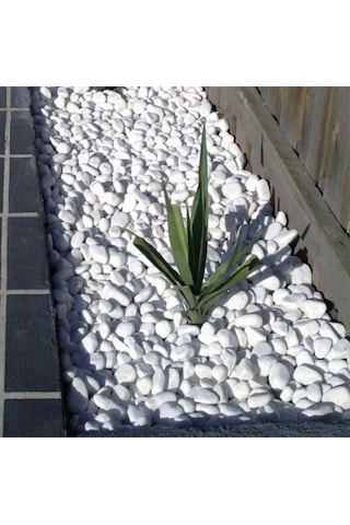 Mezar Taşı 25 Kg 2-4 cm Beyaz Dolomit Tamburlanmış Beyaz Doğal Taş