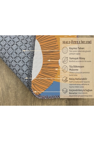 Turkıshrug Kıngdom Mavi Zeminli Tatlı Aslan Figürlü Çocuk Odası Halısı, Makinede Yıkanabilir, Kaymaz Tabanlı Çok Renkli