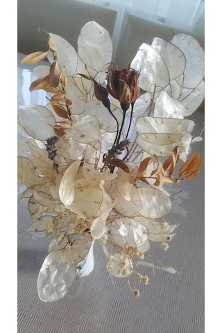 Sedef Çiçeği Tohumu 5 Adet