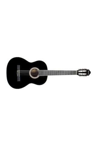 Lichtenberg Lc-160 Bk Kasik Gitar Taşıma Çantalı