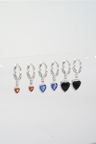 Kadın Vip Ser Kalp Model 6'lı Küpe Seti 001