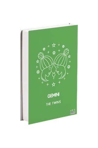 516 Gemını The Twıns