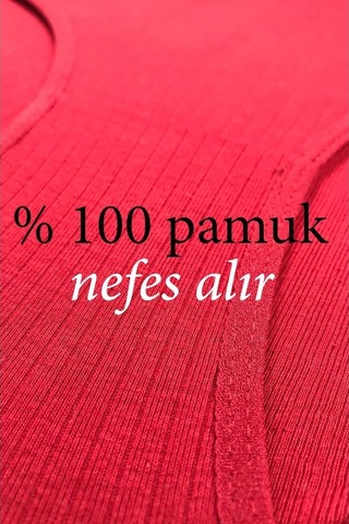 Royaleks 6 Adet Kadın Yüksek Bel Ribana Bato Külot S084 (553476827) Çok Renkli