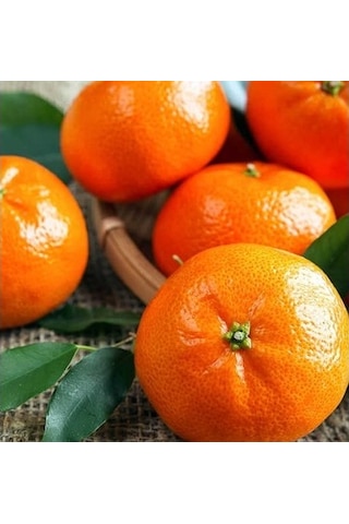 5 Yaş W.murcoot Mandalina