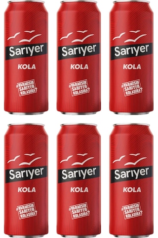 Sarıyer Kola Kutu 6 x 330 ML