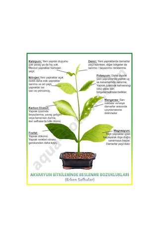 Sararmaya Kesin Çözüm Magnezyum+demir Dem Magfer 5 Litre Sıvı 5 L