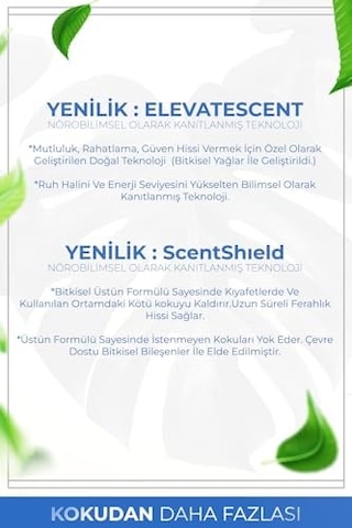 Auran Nefes Açıcı Nane Ve Okaliptüs Esansiyel Uçucu Koku Yağı Buhurdanlık Yağı Difüzör Esansı Küre 10ml Abundance Prosperity