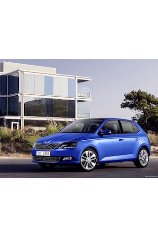 Skoda Fabia 3 2015-2022 El Freni Kolu Düğmesi Mat Gri 6R0711333C