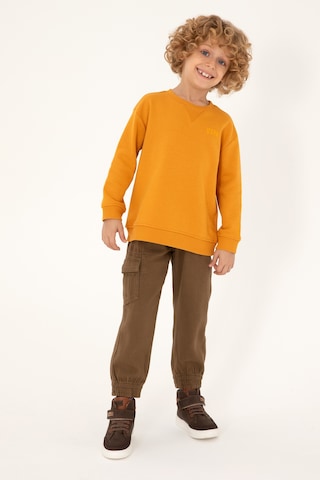 U.s. Polo Assn. Erkek Çocuk Haki Pantolon Kanvas-chino 50298581-vr027 Haki