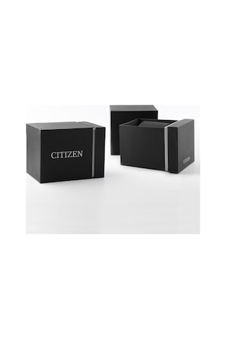 Citizen BF2011-51EE Erkek Kol Saati