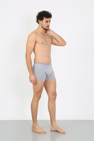 Akbeniz Erkek Pamuk Likralı Boxer Gri 40133-Gri