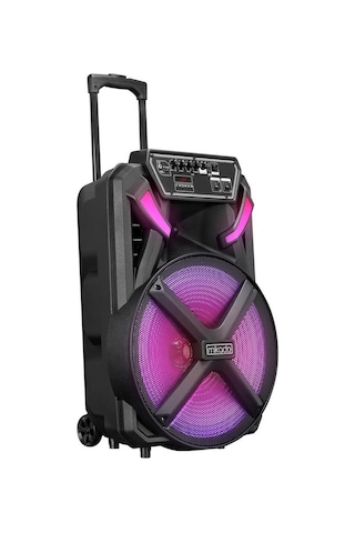 Mikado MD-BT123 30 W USB/BT/TF/TWS Kablosuz Ve Kafa Mikrofonlu Öğretmen Toplantı Anfisi