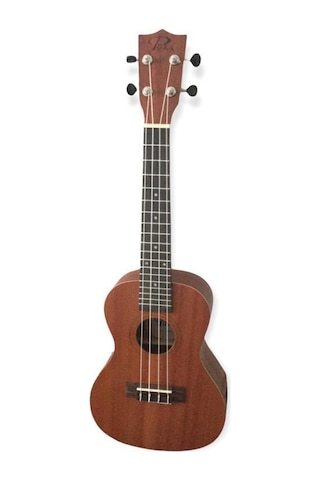 Ukulele - Puka - Concert