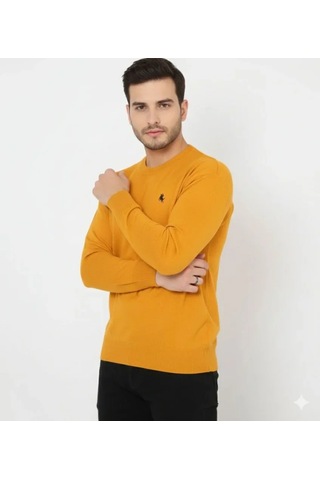 Defymoda Erkek Bisiklet Yaka Nakış Işlemeli Triko Kazak Yumuşak Dokulu Pamuklu Ince Dokuma, Uzun Kollu Rahat Turuncu