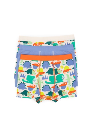 U.S. Polo Assn. Erkek Çocuk 3'lü Boxer Takım 50319387-VR036
