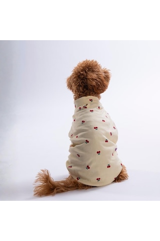 Cherry Glow Kiraz Desenli Kedi Köpek Sweati - Kedi Köpek Kıyafeti-kedi Köpek Sweati