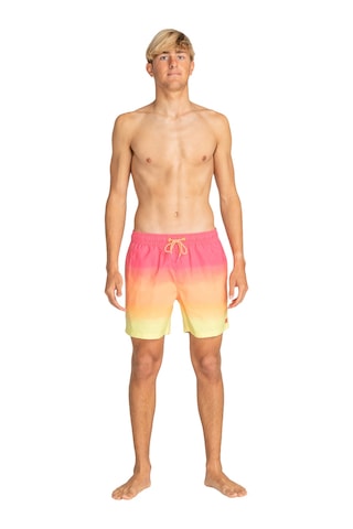 Bıllabong Billabong All Day Fade Lb Erkek Volley 27240 Çok Renkli
