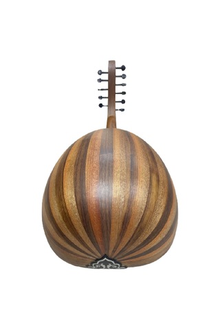 Eğitimlik Zenne Ud Kaliteli Öğrenci Seviye