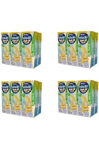 Torku Miniki Muzlu Süt 180 Ml X 24 Adet