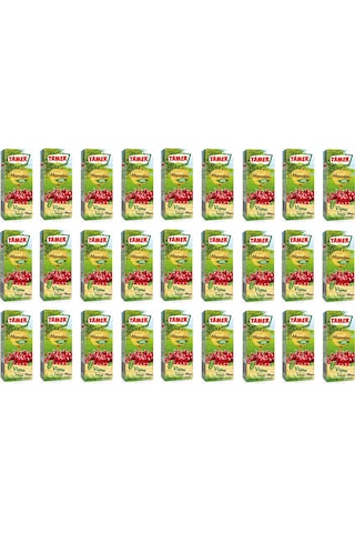 Tamek Meyvelim Vişne İçeceği 200 Ml X 27 Adet
