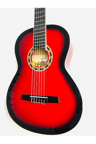 Carissa Cg-160 Tam Boy Sap Ayarlı Gitar