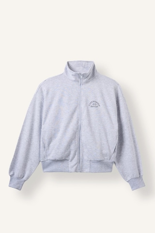 Defacto Relax Fıt Yarım Balıkçı Yaka Baskılı Kalın Sweatshirt Kumaşı Hırka I0987ax26augr93 Gri-gr93