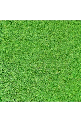 Açık Yeşil Mimari Maketler İçin Hazır Çim Kaplama, 33x41 Cm-54559