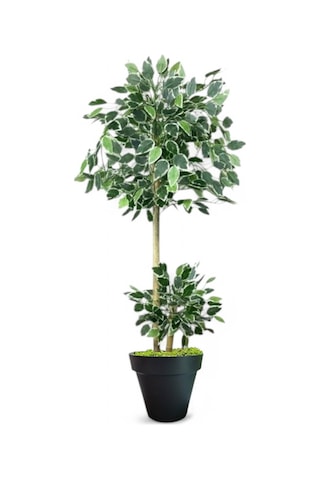 150 Cm Ficus Yapay Ağaç Bambu 2 Gövdeli Siyah Plastik Saksı Yeşil