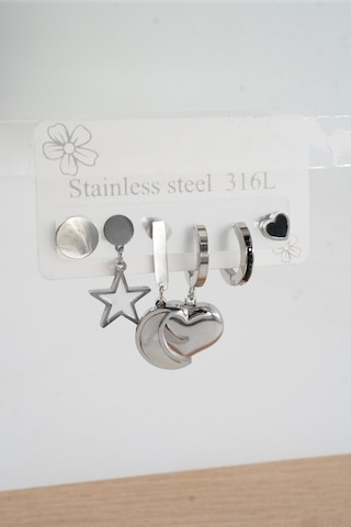 Kadın 316 L Çelik Vip Seri Anti Alerjenik 6'lı Küpe Stl003 - Gümüş