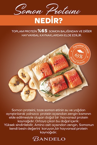 Bandelo Kısırlaştırılmış Somonlu Yetişkin Kuru Kedi Maması 2 Kg - Kilo Kontrolü, Tüy Sağlığı ve Koku Önleyici Etkili