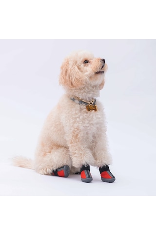 Pawstar Kırmızı Köpek Ayakkabısı