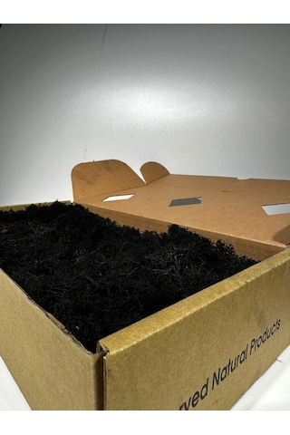 Reindermoss Şoklanmış Norveç Yosunu Terarium Yosunu Siyah 5 Kg.