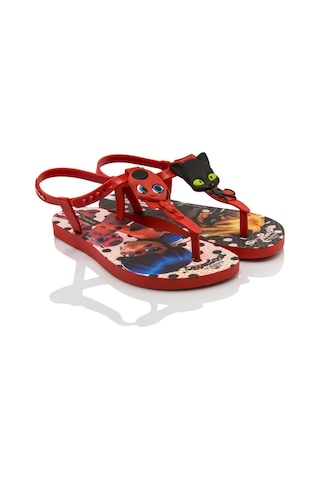 İpanema Ladybug Çocuk Sandalet Kırmızı/Siyah 30/35 WPP0273 Kırmızı - Siyah