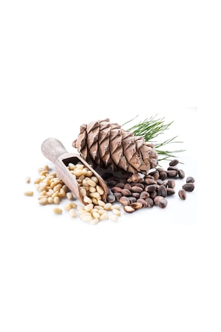Royal Baharat Çam Fıstığı 50 G