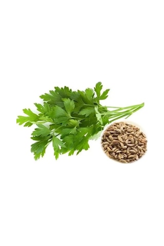 Tedar Maydanoz Tohumu 25 Gr Najmaddin Standart