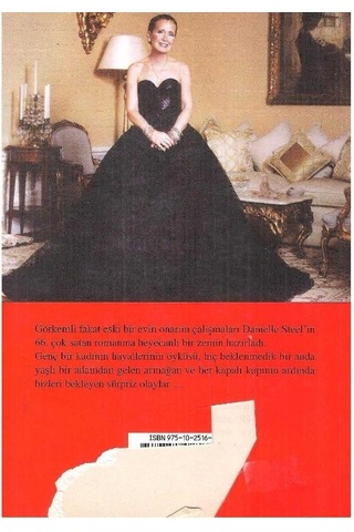 Ev - Danielle Steel 1.baskı 2.el