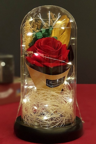 Led Işıklı Fanus İçerisinde Hediyelik Gül Sevgiliye Özel Hediye Led Işıklı Solmayan Gül