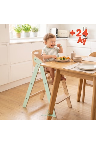 Mamatoyz Mychair Only Chair Mint Mama Sandalyesi Sadece Sandalye Versiyonu