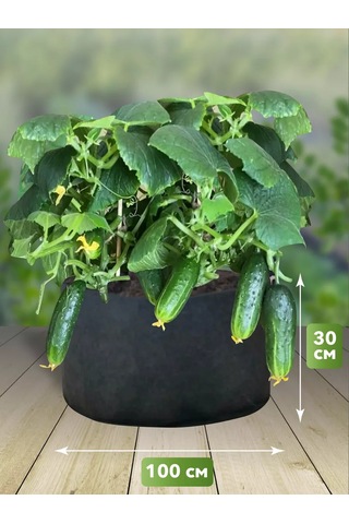 Umnyj Sad Bitkiler Ve Fide İçin 235 Litre Tekstil Saksı 192225365